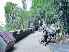 -铁山坪森林公园