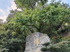 -牛首山文化旅游区