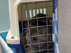 -达爱动物医院·犬猫分区·CT·复杂眼科(远洋山水分院)