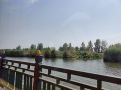 -微山湖红荷湿地景区