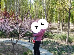 -东郊湿地公园