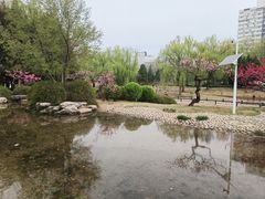 -皇家御河游(紫御湾码头)