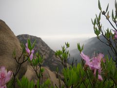 -大罗山风景区