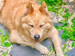 -天津东丽湖风景区