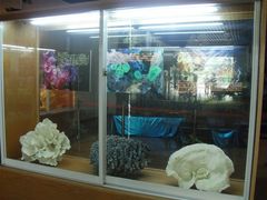 -南京金牛湖风景区