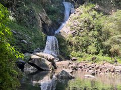 -石台牯牛降景区