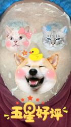 -华美整形美容医院