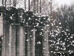 -音乐台