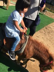 -萌宠亲子动物乐园(槐房万达店)