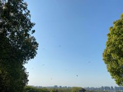 -南京市江宁方山