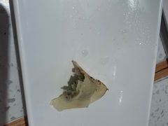 -味千拉面(南虹店)