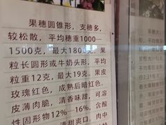 -北京张裕爱斐堡酒庄