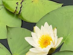 -昆山城市生态森林公园