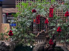 -船歌·鱼水饺青岛菜(闽江二路店)