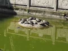 -黔灵山公园