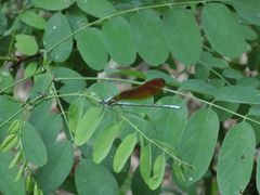 -碓臼峪自然风景区