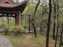-武侯墓风景区