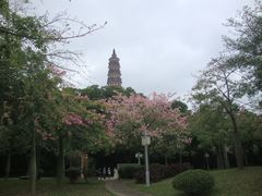 -顺峰山公园