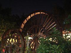 -品德宏·孔雀宴的发源地(金塔园店)