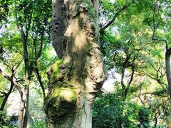 -绮园景区
