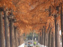 -东湖听涛景区