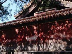 -清东陵