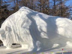 -长春市南湖公园