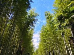-黄公望隐居地