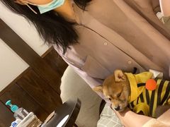 -逗柴咖啡屋·狗咖猫咖宠物桌游