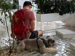 -% Arabica阿拉比卡咖啡(罗湖万象城店)