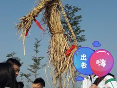 -三水森林公园