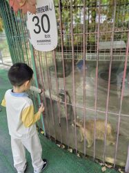 -萌宠亲子动物乐园(槐房万达店)