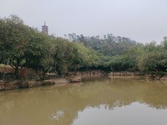-大雁山风景区