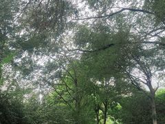 -郑州植物园