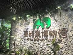 -野象谷景区