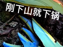 -菌之家·专业纯野生菌火锅·特色炒菌
