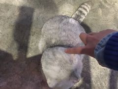 -MIKAKU(万达广场上海宝山店)