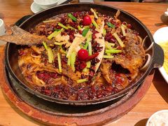 -老板恋上鱼(环山路店)