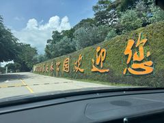 -广州市石门国家森林公园