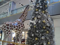 店内环境-远洋未来广场(育慧北路店)