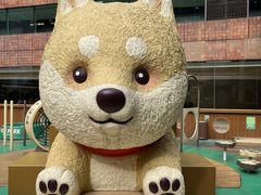 -新城市广场