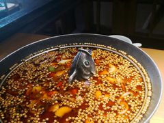 -卞氏菜根香·川菜(青羊万达店)