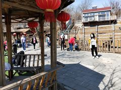-北京鹿世界主题园