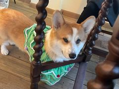 -肥朵食堂(带梦胡同店)