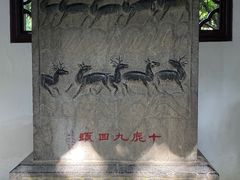 -上海醉白池公园