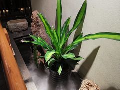 -庄隐阁(悠方广场店)