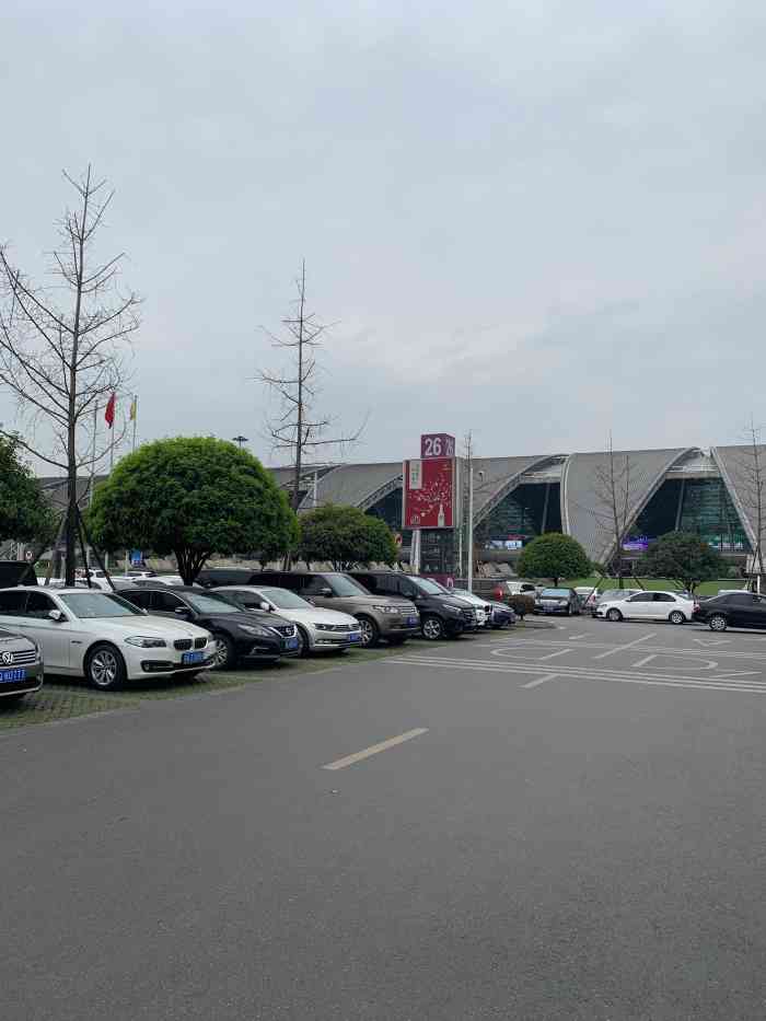 双流机场停车场t2停车场-"晚上车多可以理解,乱成一锅粥也是佩服… .