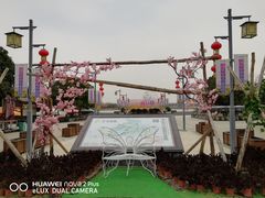 -金卉庄园