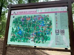-东平国家森林公园