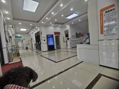 -派美特宠物医院·核磁CT·骨科肿瘤·疑难转诊(沈农禾丰店)